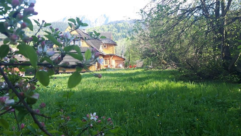 Kwatery Prywatne-Romanówka Zakopane Exterior foto