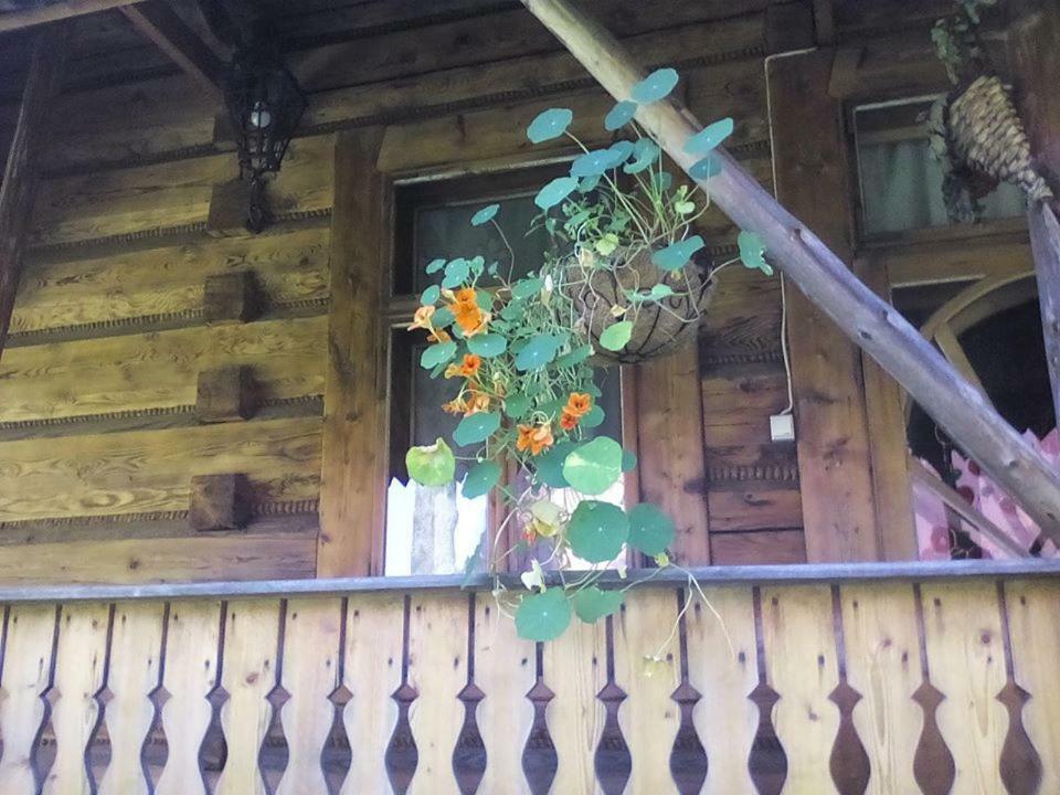 Kwatery Prywatne-Romanówka Zakopane Exterior foto
